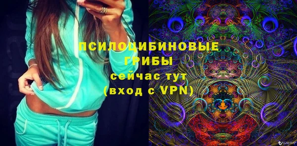 a pvp Коряжма