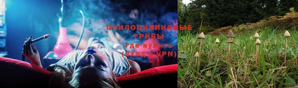 мяу мяу мука Козельск