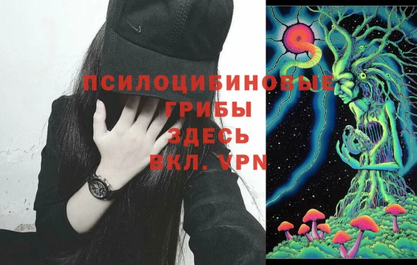 ешки Кинешма
