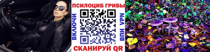 Галлюциногенные грибы Psilocybine cubensis  цены наркотик  Киржач 