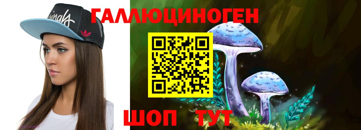 Киржач  Галлюциногенные грибы MAGIC MUSHROOMS  Вход с VPN 